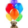 Bear & Balloons