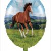 Pony Balloon In A Box